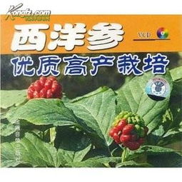 浙江西洋參種植技術(shù)與黑參產(chǎn)品開(kāi)發(fā)